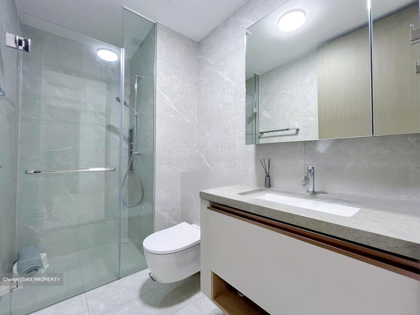 One-north Eden (D5), Apartment #452069981